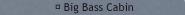 Big Bass Cabin photos